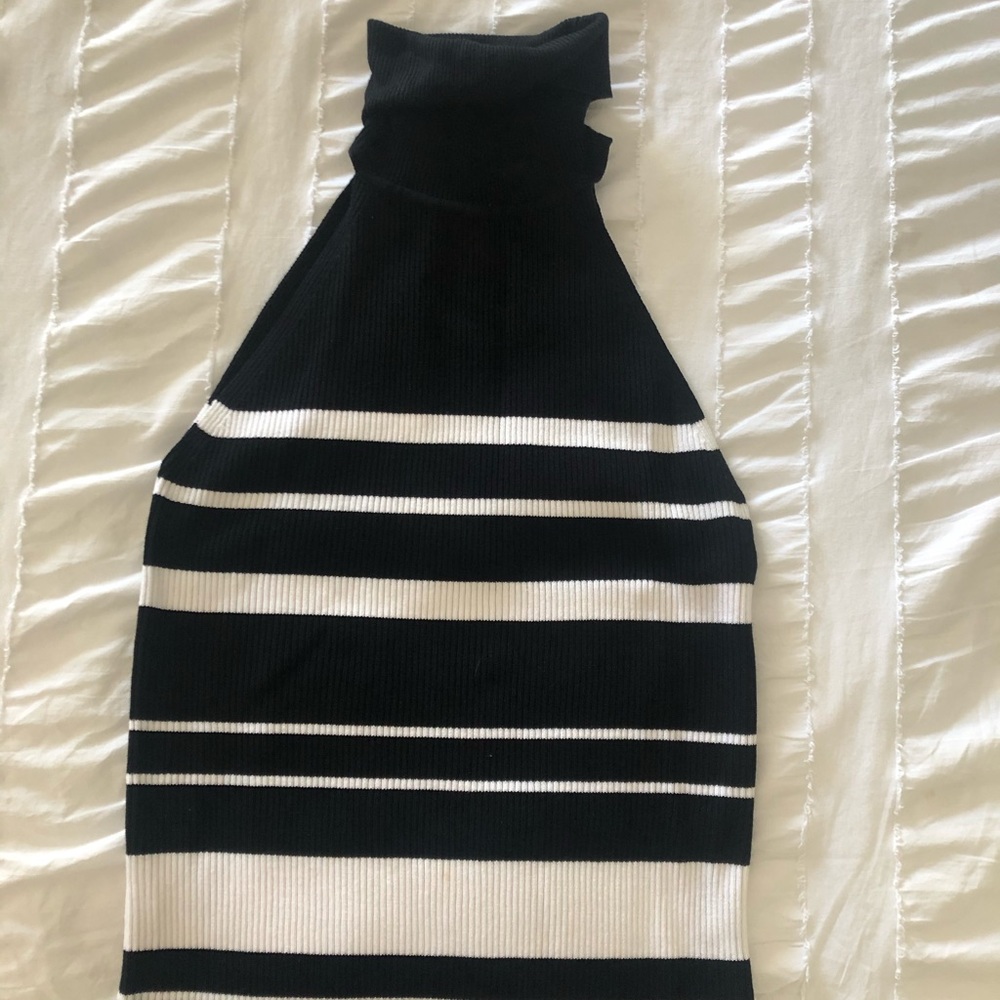 Zara knit turtleneck top.